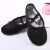 Import Girls Adult Ballet Dance Shoes / professional ballet shoes / Canvas Ballet Shoes from China