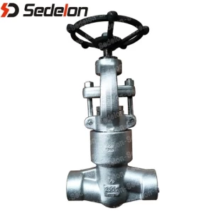 Globe valve(Solid wedge globe valve/API602 globe valve)