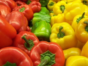 Good Brand Color Capsicums Fresh Bell Peppers With Low Price