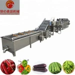Green bean sprout washing machine vegetable  washer