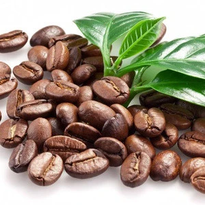 green coffee bean export price raw coffee