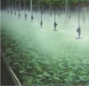 Greenhouse Drip Irrigation System