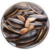 Halal Certificate Nut Snacks Caramel Flavour Wholesale Cheap Roasted Sunflower Seeds