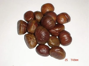 healthy sweet small package cooked chestnuts