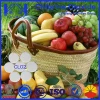 High Efficiency Fruit Preservation Chemical for Fruit Plant From China Supplier