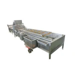High Efficient Fruit Washing Oranges Washing Machine For Vegetables And Fruits Processing
