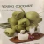 Import High Quality Fresh Young Coconut Export From Thailand from Thailand