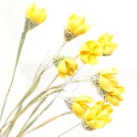 High quality home decoration Dry natural glue colorful flower bouquets dried pistachio nuts