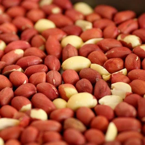 High Quality Organic Raw Redskin Peanuts