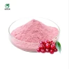 High Quality Pure Natural Acerola Cherry Extract Powder Sweet Cherry Powder Capsule Tablet