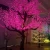 Import Holiday lights LED blossom cherry tree from China