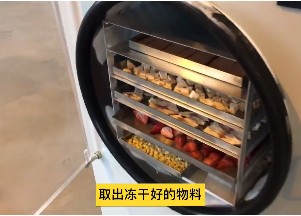 Home Use Small Vegetable Fruit Food Vacuum Dryer/Freeze Drying Machine