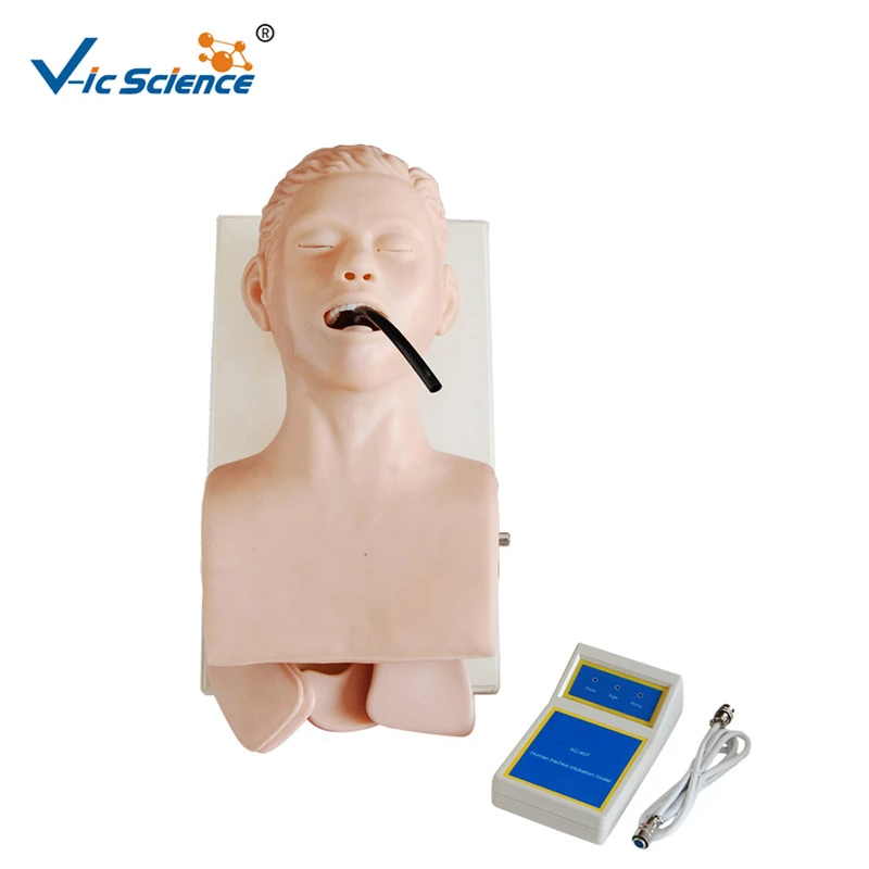Hot Sale Nurse Basic Practice Teaching medical simulator