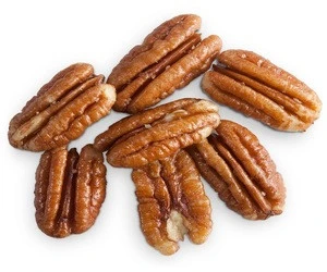 Hot Sale Pecan Nuts/Pecan Nuts