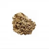 Hot Sale Products Maitak Mushroom Extract For Health Supplment