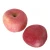 Import Hot Selling China Organic Fruits Bulk Fresh apples Wholesale from China