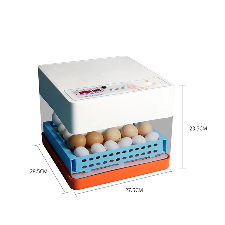 household automatic chicken constant temperature 20 capacity hatching machine Egg Incubators