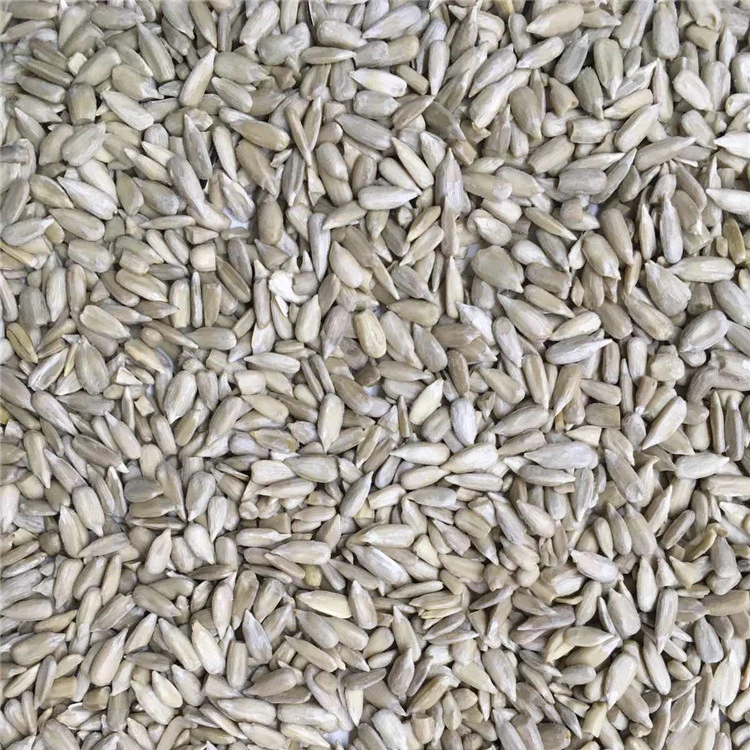 Hybrid organic best price wholesale sunflower seeds walnut kernels