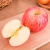 Import Import fresh fuji apple fruit from China