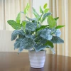 indoor and outdoor decoration plastic small pot garden simulation flowers and plants false green rose decoration simulation