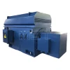 Industrial Ac 6.6kv 11kw 1250kw High Voltage Motor Slip Ring Ev Ac Electric Abb Three-Phase Asynchronous Motor