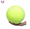 inflatable beach tennis ball