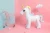 Import Inflatable Unicorn Sprinkler Water Toys Summer Vacation Fun Cute for Kids Lawn Giant from China
