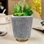 Import Innovative outstanding plastic flower aroma diffuser artificial plant 200ml with essential oil use from China