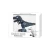 Import Intelligent Smart Dinosaur Infrared R/C Toys Robot With Light Music Dancing Demonstrate Black and White Mix Colors from China