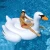 Import INTEX 56287Swimming Giant Swan Ride-on Pool Toy Inflatable Water Park Pool Raft Mega Swan Island Float from China