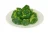 Import IQF Frozen Broccoli florets from China