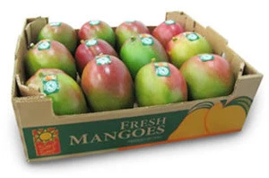 Kent mangoes