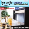Korea Ice Maker Commercial Ice Cube Machine(IS-110AP/110WP)