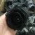 Import Large Size 9-10 cm Ecuador Preserved Fresh Eternal Cut Black Roses For Flower Velvet Round Gift Box Wholesale On Sale from China