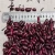 Import large Yunnan 2020 crop dried white kidney beans from China