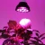 Import Led Plant Bulb Full Spectrum Grow Lights for Indoor Plants Vegetables and Seedlings from China