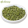 Low price hot sale good quality whole green mung beans