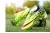 Import Man Cleats Soccer Shoes Outdoor Team Sports  Football Boots for kid Training Sneakers Children size 31-45 from China