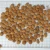 Import Manufacturer wholesale bitter almond nuts for sale  bitter apricot seed from China