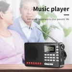 Manufacturer Wholesale Durable Portable AM FM Portable Radio Multimedia Pointer Adjusting Table U Disk Play Home Radio