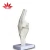 Import Medical Bone model ligament Functional Knee Joint model from China