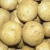 Import Mexico Grown POTATO WHITE Potatoes Robinson Fresh MOQ 50 LBS Quick Delivery in US from USA