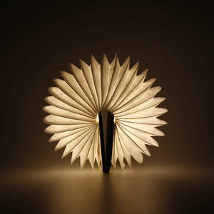 Mini led book shaped portable folding light