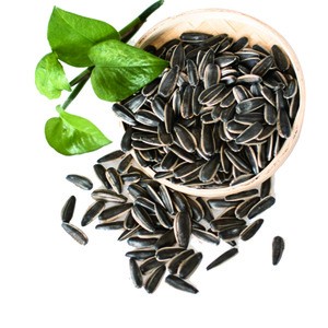 Natural chinese agriculture black sunflower seeds 363