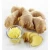 Import Natural Ginger Wholesalers And Suppliers from India