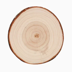 Natural Wood Slices Round Blank Craft Rustic Wedding Ornaments Wood Chips Wood Disc