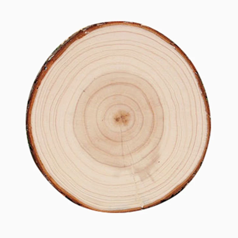 Natural Wood Slices Round Blank Craft Rustic Wedding Ornaments Wood Chips Wood Disc