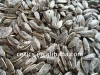 New crop Chinese high quality roasted and salted sunflower seeds