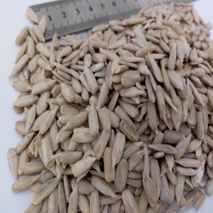 New crop sunflower seeds kernel with big size