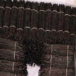 New crop Vanilla Beans  for sale